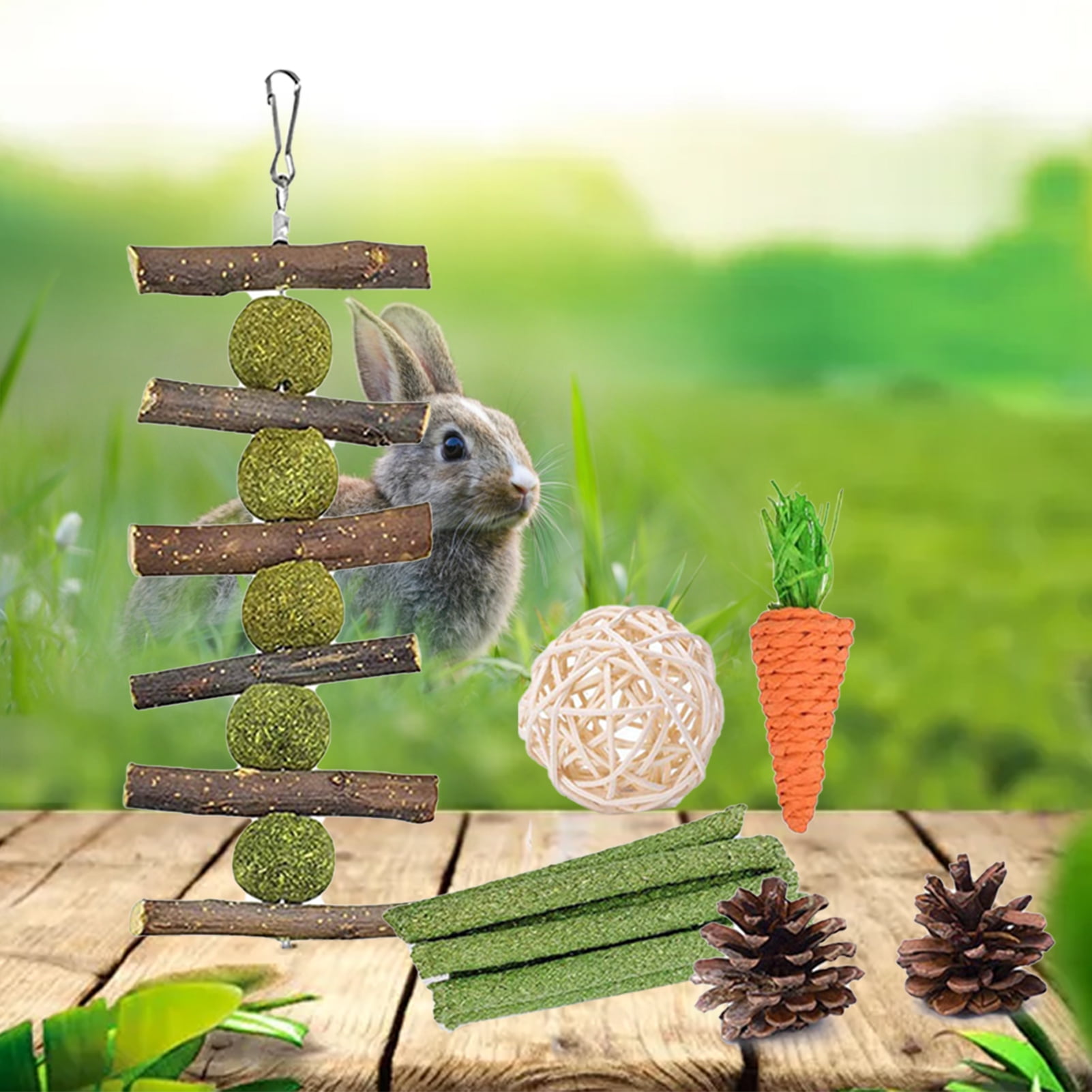 DOPI 6Pcs Bunny Toys Carrot Pine Cones Balls Natural Wood Molar Toys Hamster Play Chew Toys Pet Toys