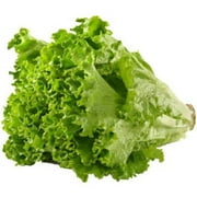Taylor Farms Green Leaf Lettuce, 4LB, 1 Count, Fresh Vegetables