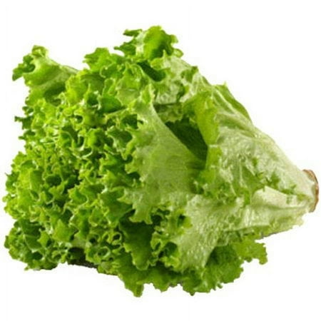 Taylor Farms Green Leaf Lettuce, 4LB, 1 Count, Fresh Vegetables