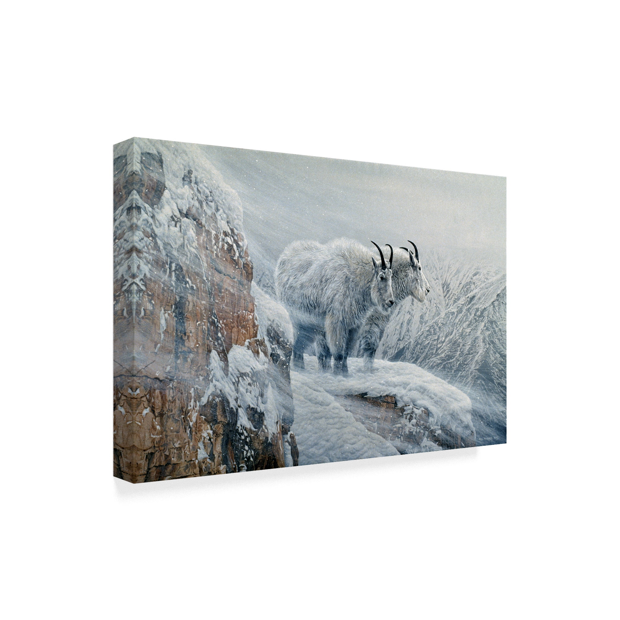 Trademark Fine Art 'Winters Fury Mountain Goat' Canvas Art by Ron Parker