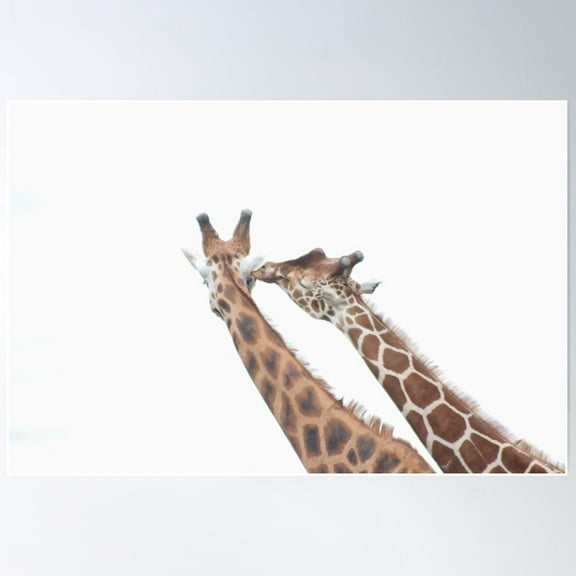 Giraffe Love Poster Wall Art, Modern Wall Decor For Living Room Bedroom, 8x12 UNFRAMED