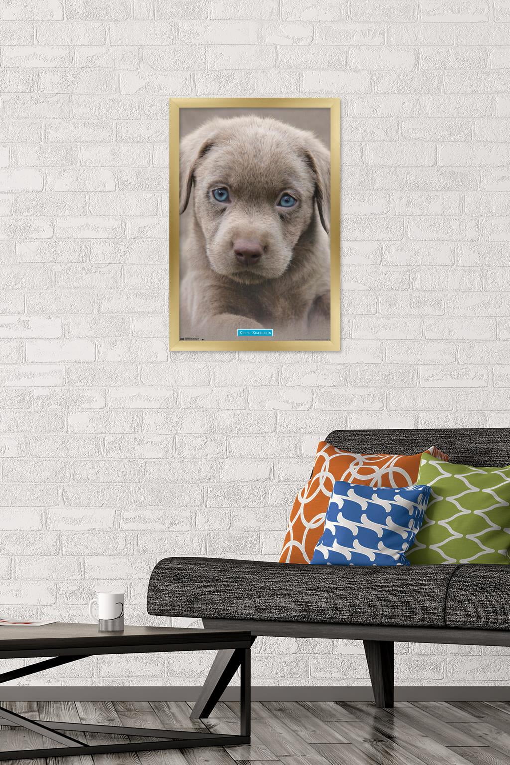 Keith Kimberlin - Puppy - Blue Eyes Wall Poster, 14.725" x 22.375", Framed