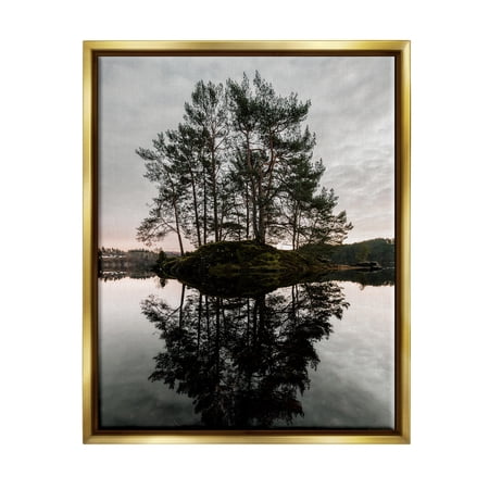 Stupell Industries Tree on Lake Landscape Nature Photography Gold Floater Framed Art Print Wall Art 25 x 31