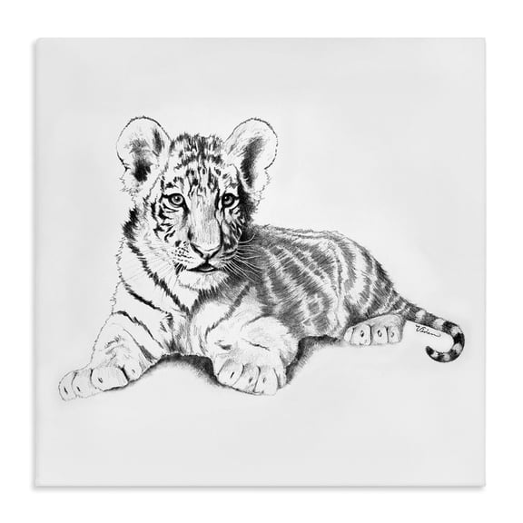 Stupell Industries Cottage Black and White Baby Tiger Large Cat Animal Design Canvas Art, 17 x 17, by Vivian Rhyan