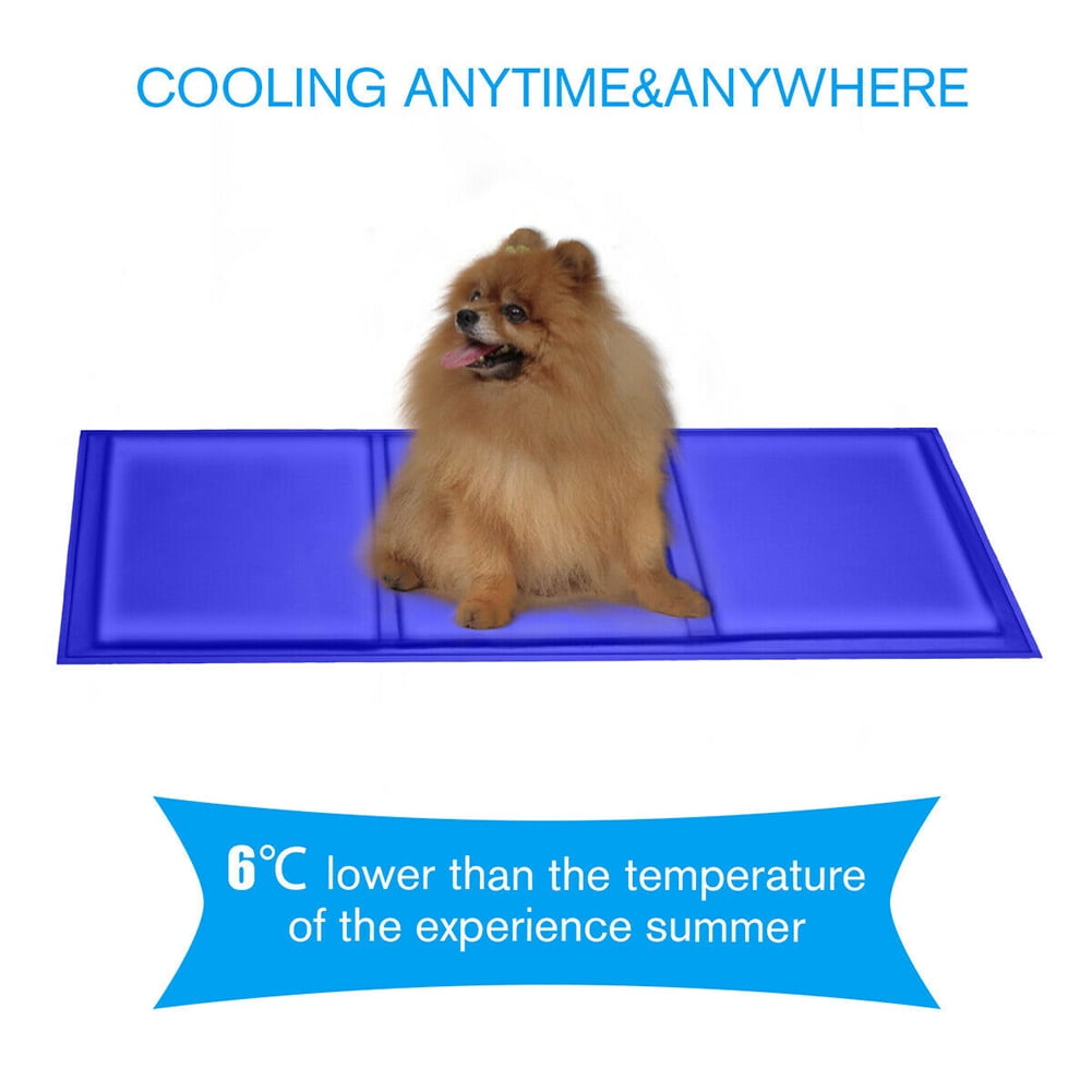 car cooler for dogs