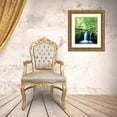 thumbnail image 3 of Talbot Frank, Christopher 12x14 Gold Ornate Wood Framed with Double Matting Museum Art Print Titled - USA, Oregon, Whitehorse Waterfall in Oregon, 3 of 4
