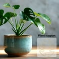 thumbnail image 3 of Hyasfey Monstera Plant Support Reusable Coated Iron Stem Holder Flower or Heart Shaped Stabilizer Climbing Plants Stem Support for Indoor Outdoor Plants, 3 of 7