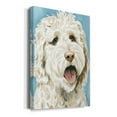 thumbnail image 2 of Labradoodle II Premium Gallery Wrapped Canvas - Ready to Hang, 2 of 9