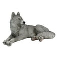 thumbnail image 4 of Resting Wise Gray Lone Wolf Figurine Timberwolves Pack Decorative Decor Statue, 4 of 10