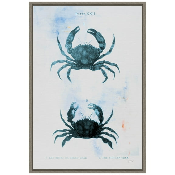 Amanti Art Blue Bay IV Framed Canvas Wall Art Print