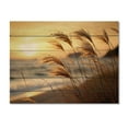 thumbnail image 3 of Designart "Sunrise Breeze on the Beach X" Nautical & Beach Print on Natural Pine Wood, 3 of 5