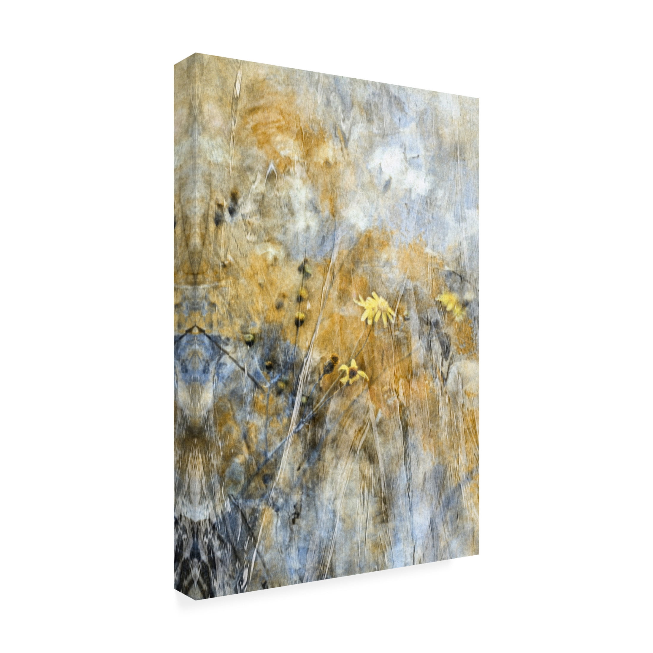 Canvas Wall Art - Delphine Devos 'A Time Of Freedom' Wall Art for Living Room, Bedroom, or Office D?cor by Trademark Fine Art - 22 x 32 Inches