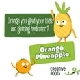 thumbnail image 5 of Creative Roots Orange Pineapple Coconut Water Kids Drink, 4 ct Pack, 8.5 fl oz Bottles, 5 of 16