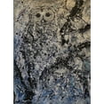 thumbnail image 2 of Foster, Joseph Marshal 19x24 Gold Ornate Wood Framed with Double Matting Museum Art Print Titled - Owl I, 2 of 4
