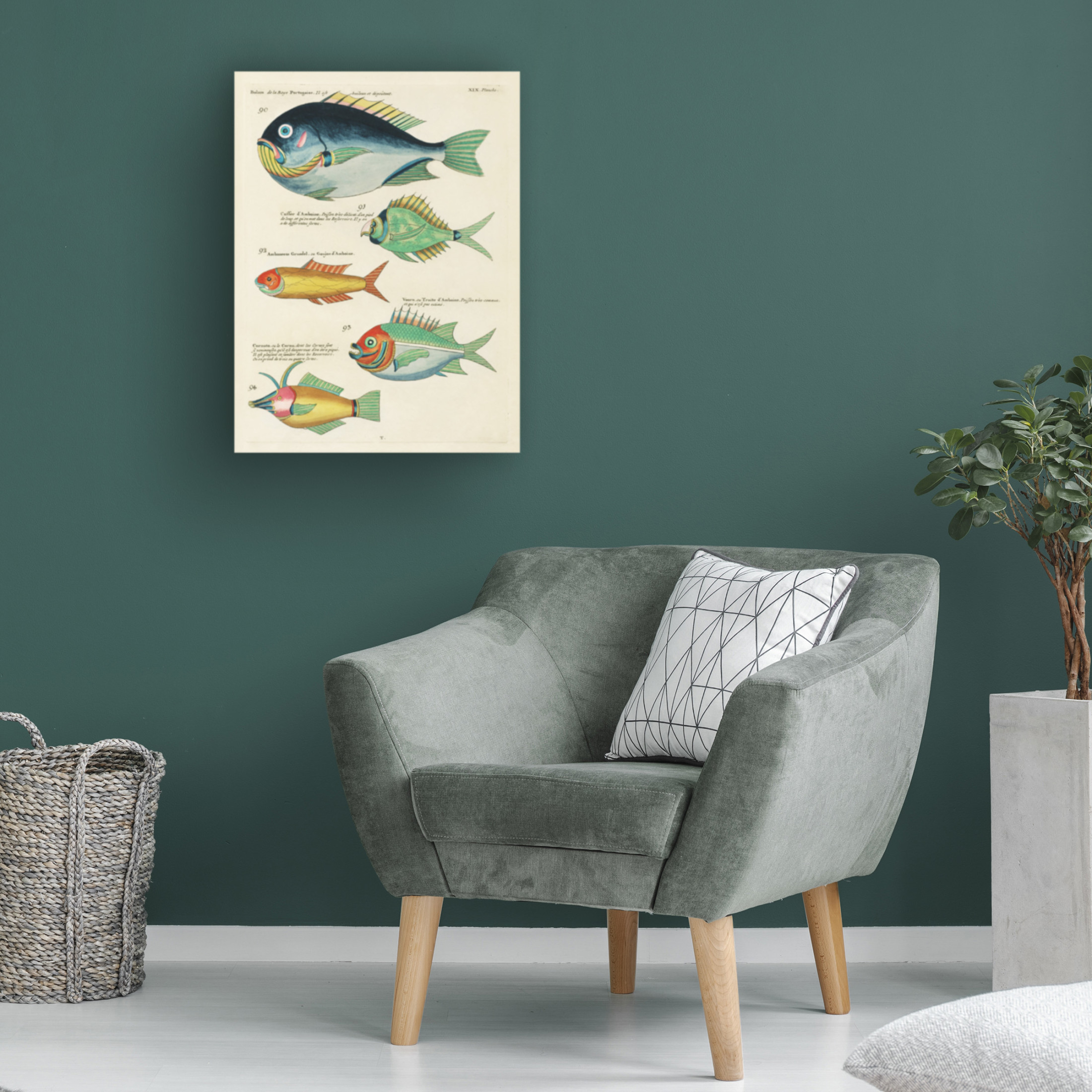 Trademark Fine Art Louis Renard  Renard Tropical Fish I Canvas Wall Art
