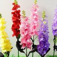 thumbnail image 4 of Luces Solares para Exteriores Jardín 2/4 Piezas Dos Modos Delphinium, 4 of 9