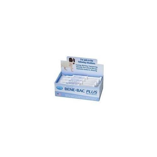 BeneBac® Plus Probiotic Pet Gel 15g Syringes, 12Pack (12 Syringes