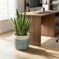 thumbnail image 5 of Ordivic 10 Inch Blue Ceramic Planter with Drainage Hole – Large Round Flower Pot for Monstera, Fiddle Leaf Fig, Outdoor Gift, 5 of 7