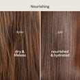 thumbnail image 3 of RENPURE COCO LEAVEIN, 3 of 7