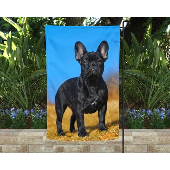 French Bulldog Garden Flag