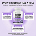 thumbnail image 5 of 10,000 mcg Biotin Supplement Enhanced with Vitamin D & E | 180 Count | Hair Growth Vitamins Supplement | Supports Healthy Skin & Strong Nails | Energy Support | Vitamin B7, D & E | For Men & Women, 5 of 11