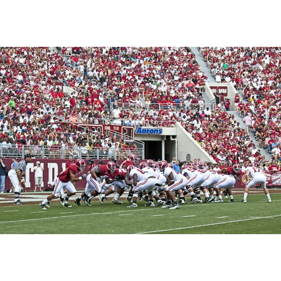 Print: University Of Alabama Football Game, Tuscaloosa, Alabama, 2010