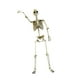 thumbnail image 1 of Escultura de terror articulada de esqueleto de Halloween con articulaciones móviles para fiestas en casa y fiestas temáticas de enseñanza de anatomía. 90 centímetros, 1 of 9