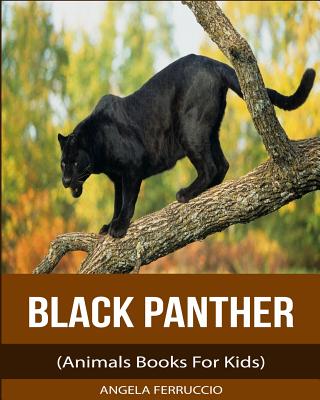 Black Panthers (Animals Books for Kids)
