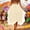 F-220Beige, variant on Women Skirt Elastic Waist Solid Color Mesh Fashion Comfortable Knee Length Tutu Skirt For Casual Daily Wear,Army Green,S