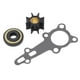thumbnail image 1 of Kit de reparación de bomba de agua 06192 881 C00, juego de reconstrucción de impulsor para motores fueraborda BF8A de 8 HP, 1 of 14
