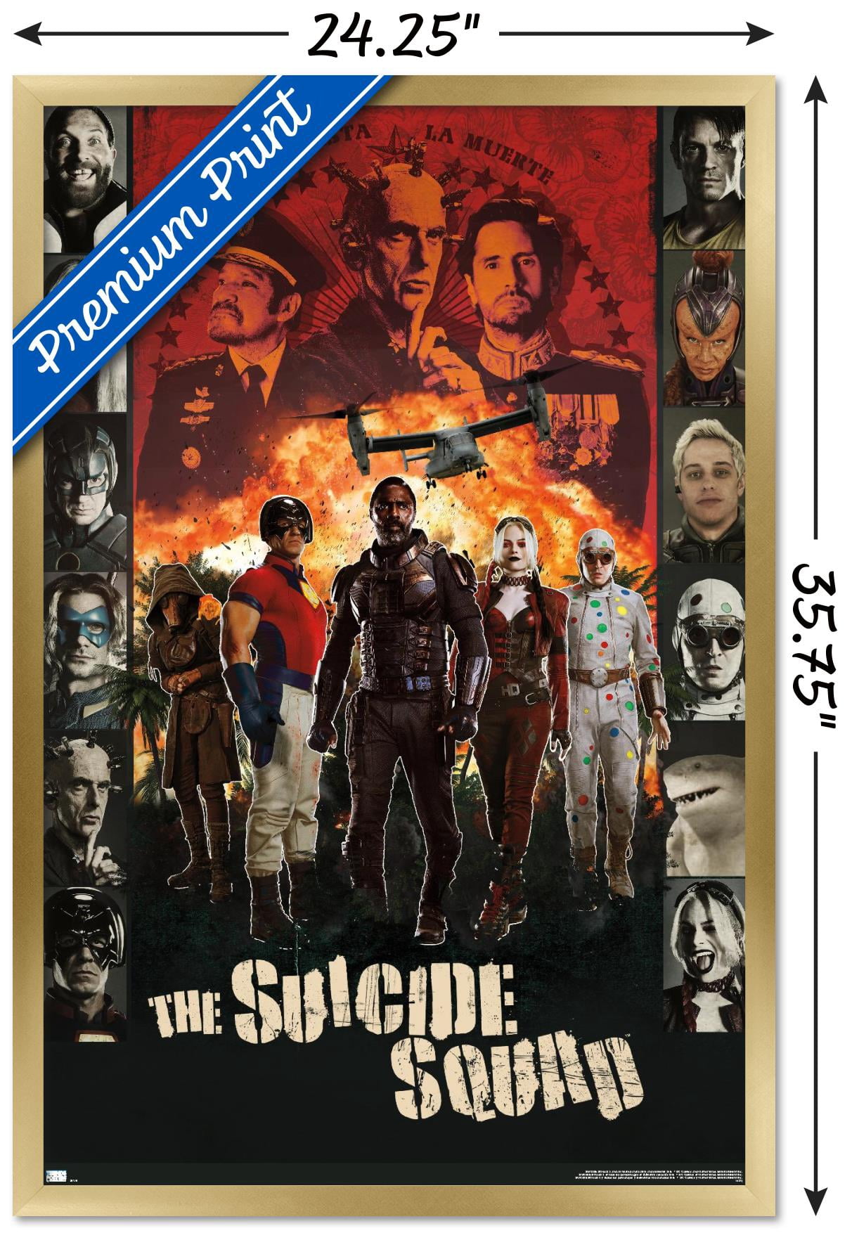 DC Comics Movie The Suicide Squad - Battle Group Wall Poster, 22.375" x 34", Framed