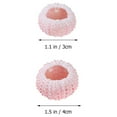 thumbnail image 3 of 6 Pcs 3/4CM Natural Sea Urchin Shells Conch Shells Tillandsia Containers DIY Handmade Air Plants Planting Pots (Random Color), 3 of 8