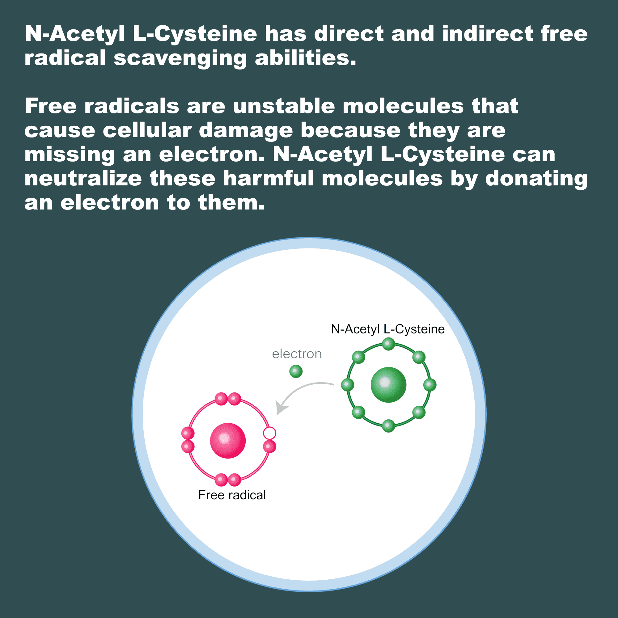 LifeLink's NAC (N-Acetyl L-Cysteine) | 600 mg x 120 capsules | Antioxidant, Anti-Aging, Immunity | Gluten Free & Non-GMO | Made in the USA