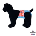 thumbnail image 2 of Barkertime Red Flowers on Baby Blue Waterproof Premium Dog Diaper - Made in USA, 2 of 6