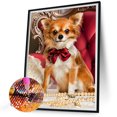 thumbnail image 2 of Taladro de diamante Chihuahua 5D Kits de pintura de bricolaje Decoración de pared cuadrada completa (F1092) Hugtrwg Para estrenar, 2 of 9