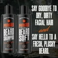 thumbnail image 2 of Kit de champú y acondicionador para barba Wild Willies PROGRO 120 ml, 2 of 6