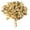 Natural, variant on Vickerman 10 x 3 x 21" tray Basil Hydrangea Pieces. Tray multi stem, Preserved