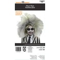 thumbnail image 2 of Halloween Women Ghost Glam Wig, Way to Celebrate, 2 of 4