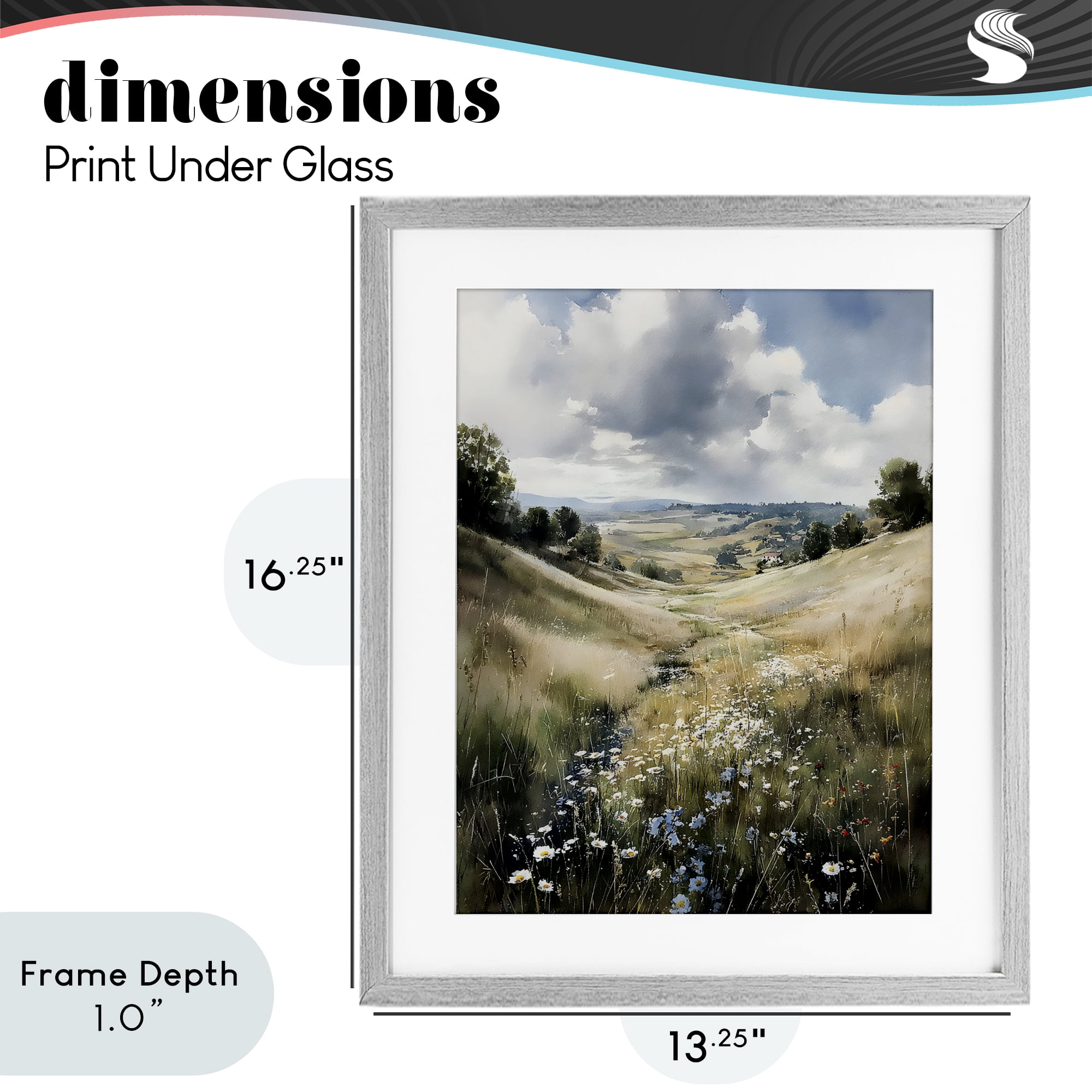 Stupell Industries Floral Valley of Wild Daisies Gray Framed Print Under Glass, design by Franklyn Gregory