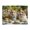 1000 Pieces, variant on 500-Piece Wooden Jigsaw Puzzle for Adults & Families - Corgis Tea Party Bow Ties , Fun & Educational Brain-Teasing Game, Artistic Home Decor