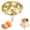 GD2, variant on Egg Steamer Stainless Steamer Rack Round Multi Use Cooking Insert For Pot Heat Rack For Eggs Vegetables Fish Preservation Of Nutrition