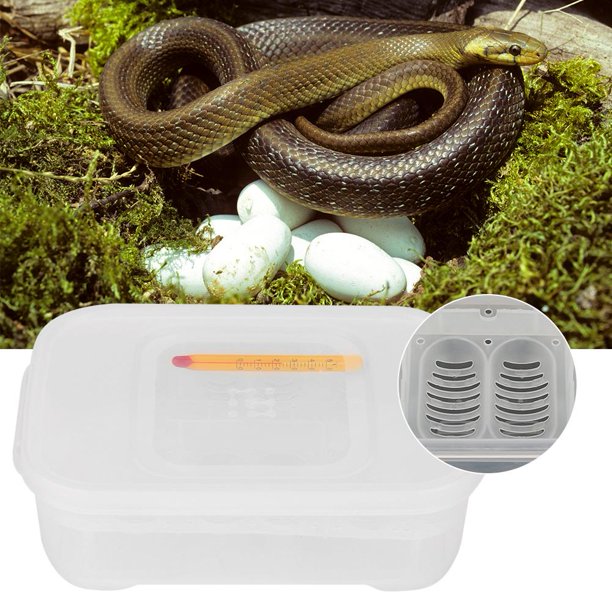 LYUMO Gecko Eggs Incubator, Snakes Eggs Incubator,12 Grids Snakes Gecko