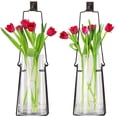 thumbnail image 6 of Couronne 19'' Hanging Lantern Glass Wall Vase, 6 of 6