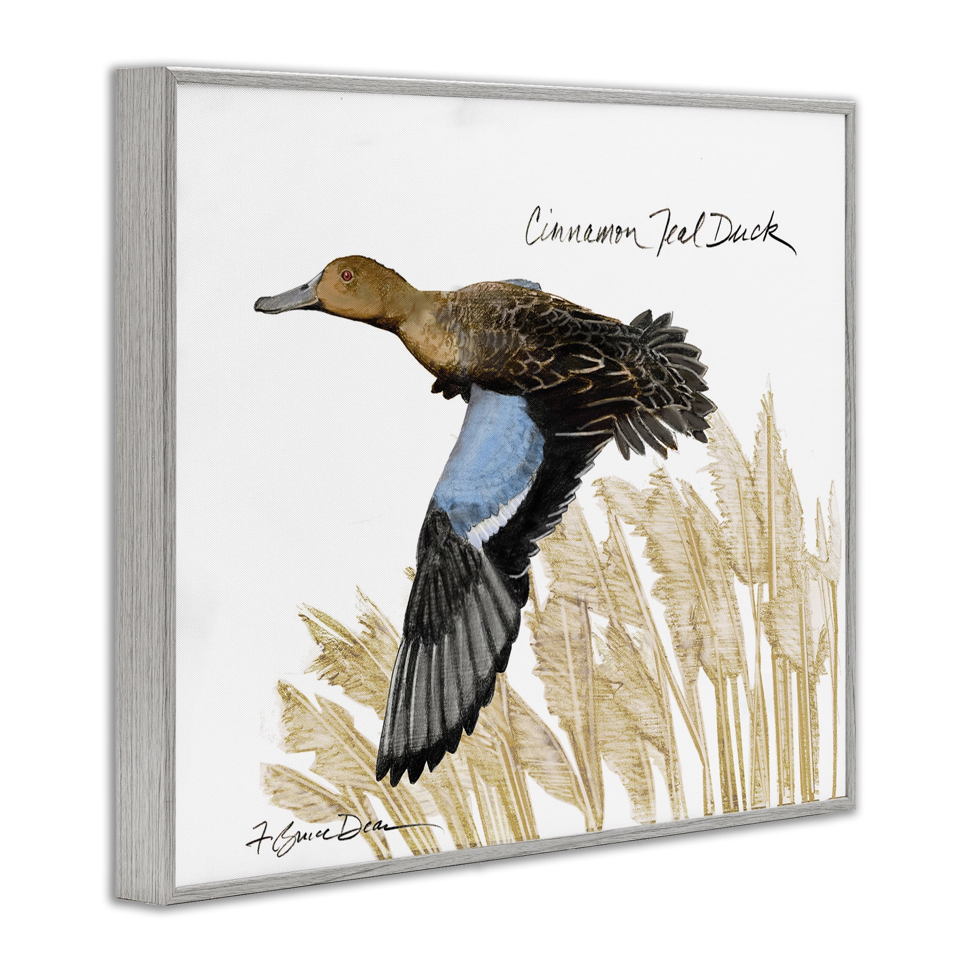 Stupell Industries Cinnamon Teal Duck Flying Animals & Insects Painting Gray Framed Art Print Wall Art, 30 x 24