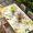 Yellow, variant on Spring Floral Table Cloths for 5 Foot Rectangle Tables, Watercolor Forsythia Flowers Hummingbirds Beige Patio Waterproof Elastic Fitted Tablecloths, Washable Rectangular Table Cover for Camping