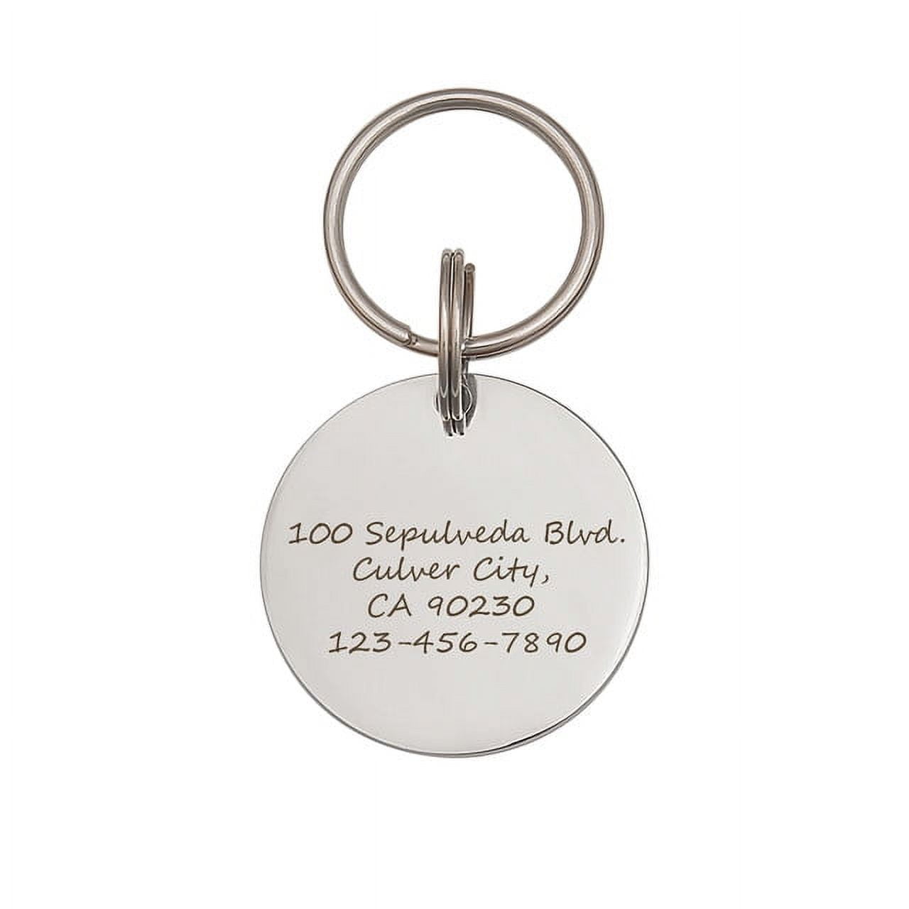 Anavia Stainless Steel Double Sided Round Name - Frame Engraved Dog & Cat ID Tag, Silver, L