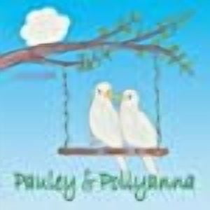 Pauley & Pollyanna (Paperback)