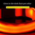 thumbnail image 4 of LED Light Up Dog Collar Feet of Visibility - Brightest for Night Safety, 4 of 6