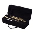 thumbnail image 3 of Standard Bb Brass Trumpet Wind Instrument with Mouthpiece Carry Bag Gloves Cleaning Cloth Tuner, 3 of 7
