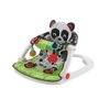 Fisher-Price Sit-Me-Up Floor Seat